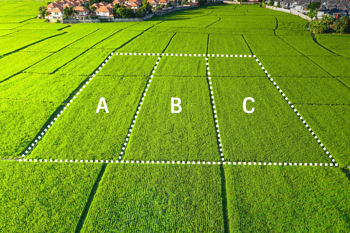 6 причин, по которым вы не сможете перераспределить земельные участки ...