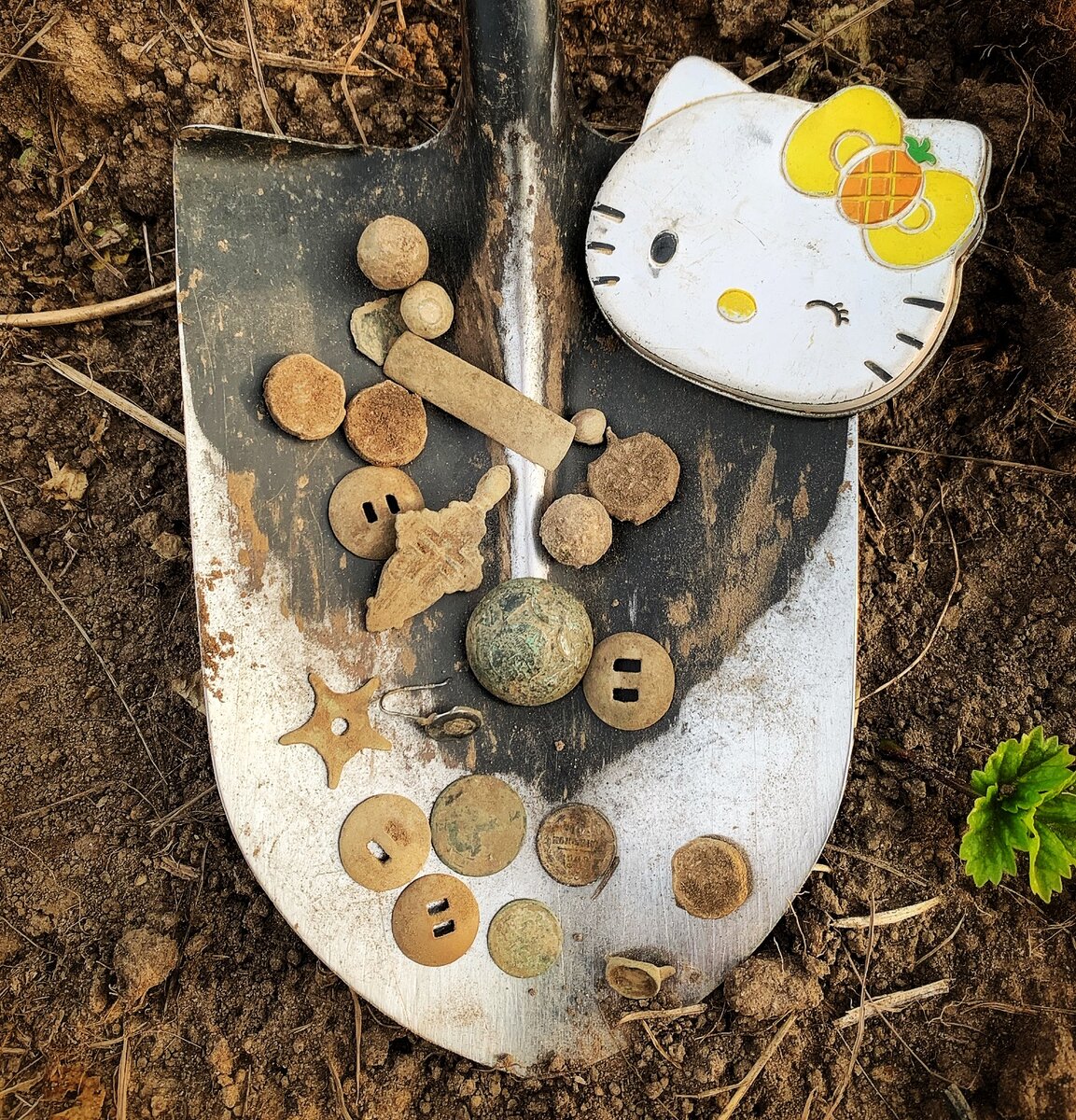 Неплохой выход рядом с домом: и царская ювелирка,  и Николаевские монеты и металлопластики с редкой ливрейной пуговицей! главное знать места и уметь раскинуть мозгами в нужном направлении)))