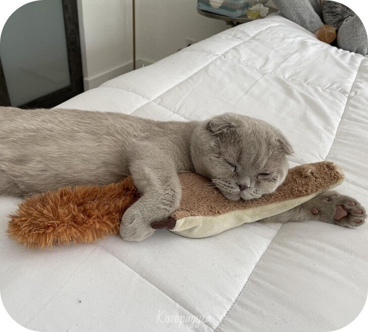 Источник: pinterest.com