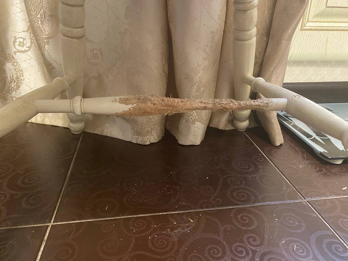 Перекладину от стула Джед до сих пор иногда точит, что видно по опилкам на полу