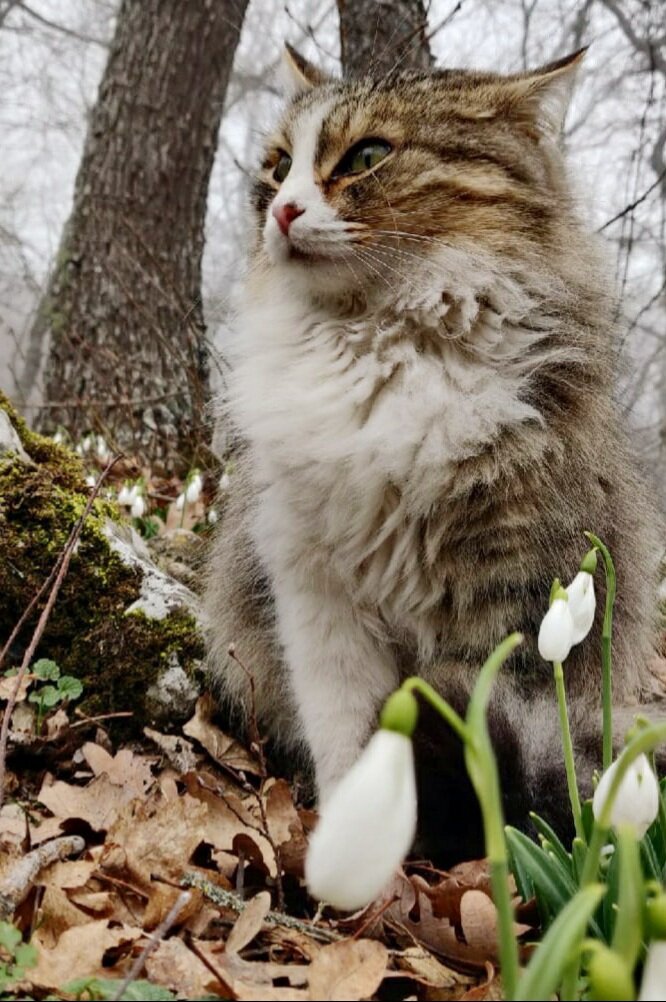 Источник: Яндекс картинки