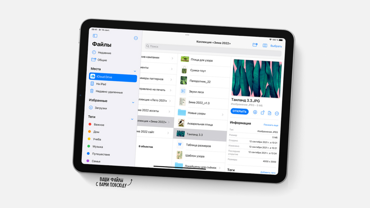 Почему iPad 10,2 выбирают сегодня? Обзор нашумевшей новинки 2021 года |  restore: | Дзен