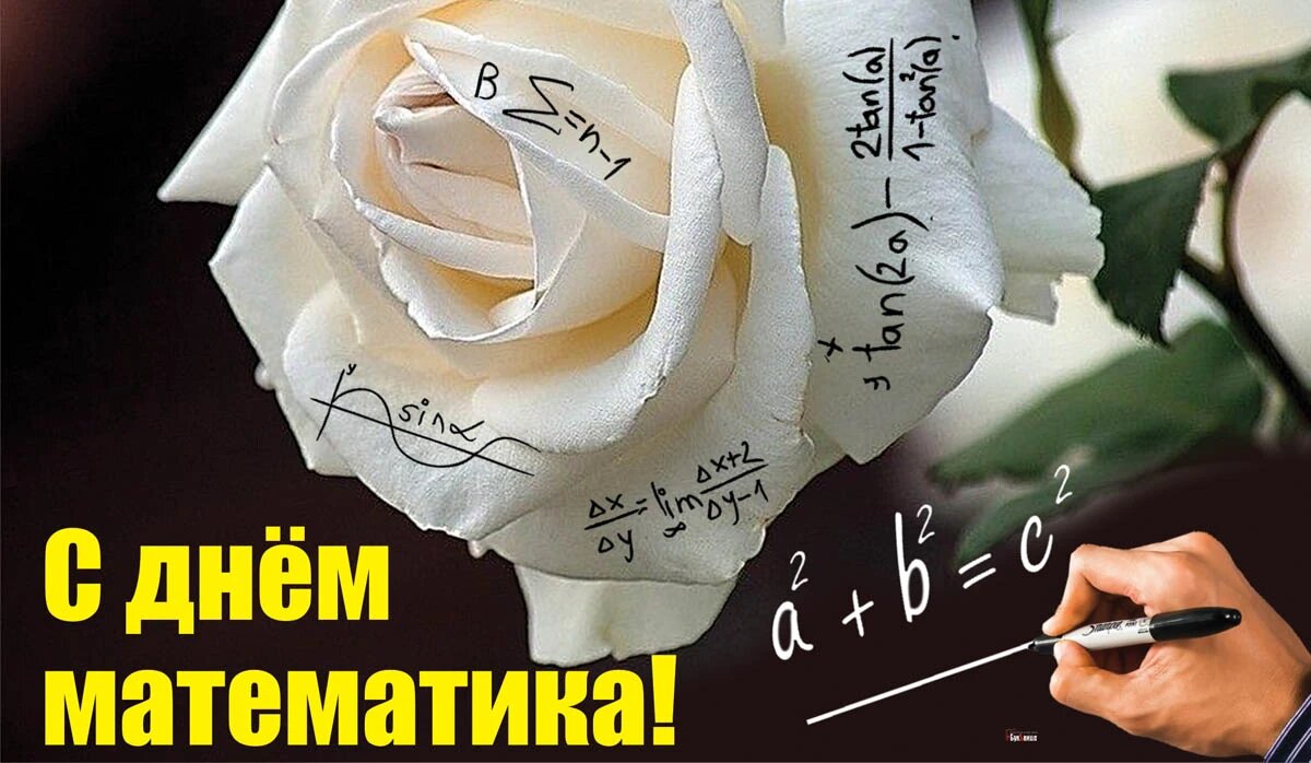 День математика. Иллюстрация: «Курьер.Среда»