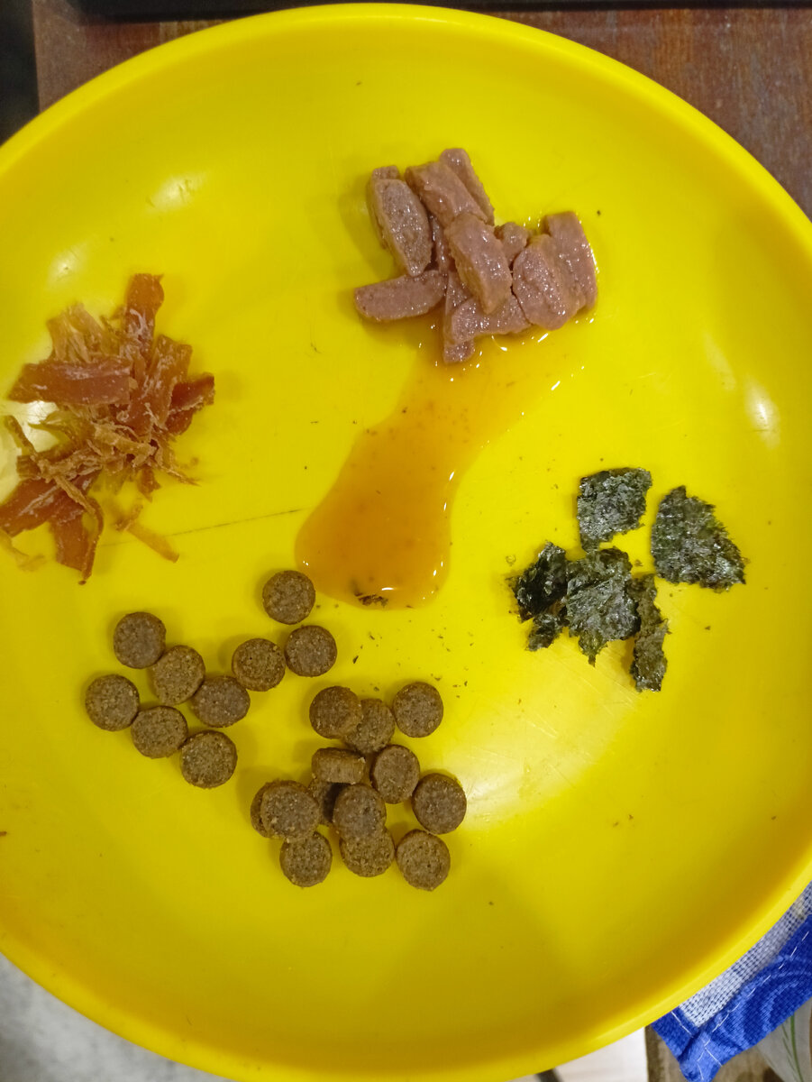 У Алекса не менее вкусный ужин,сушонная морская капуста, сухари,утка,влажный пауч .