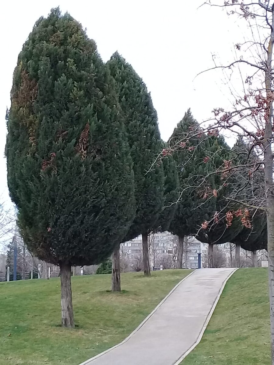 В парке не многолюдно. Можно наслаждаться красотой не торопясь.