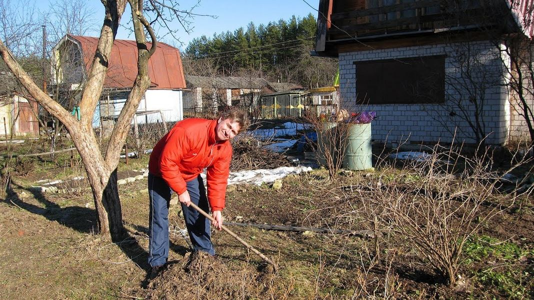 Сегодня можно работать в огороде с землей. Огород весной. Работа в саду. Дача весной. Работа на даче.