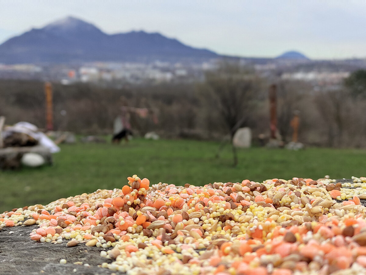 Славянское капище (март 2023 года)