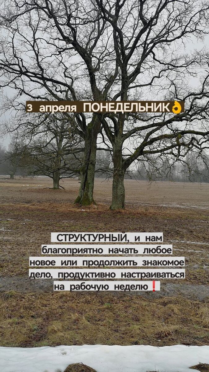 Вязынка, Это Беларусь. детка!
