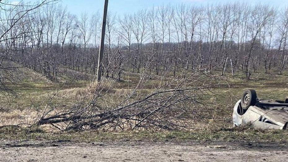    Автор фото: пресс-служба ГУ МВД по Воронежской области