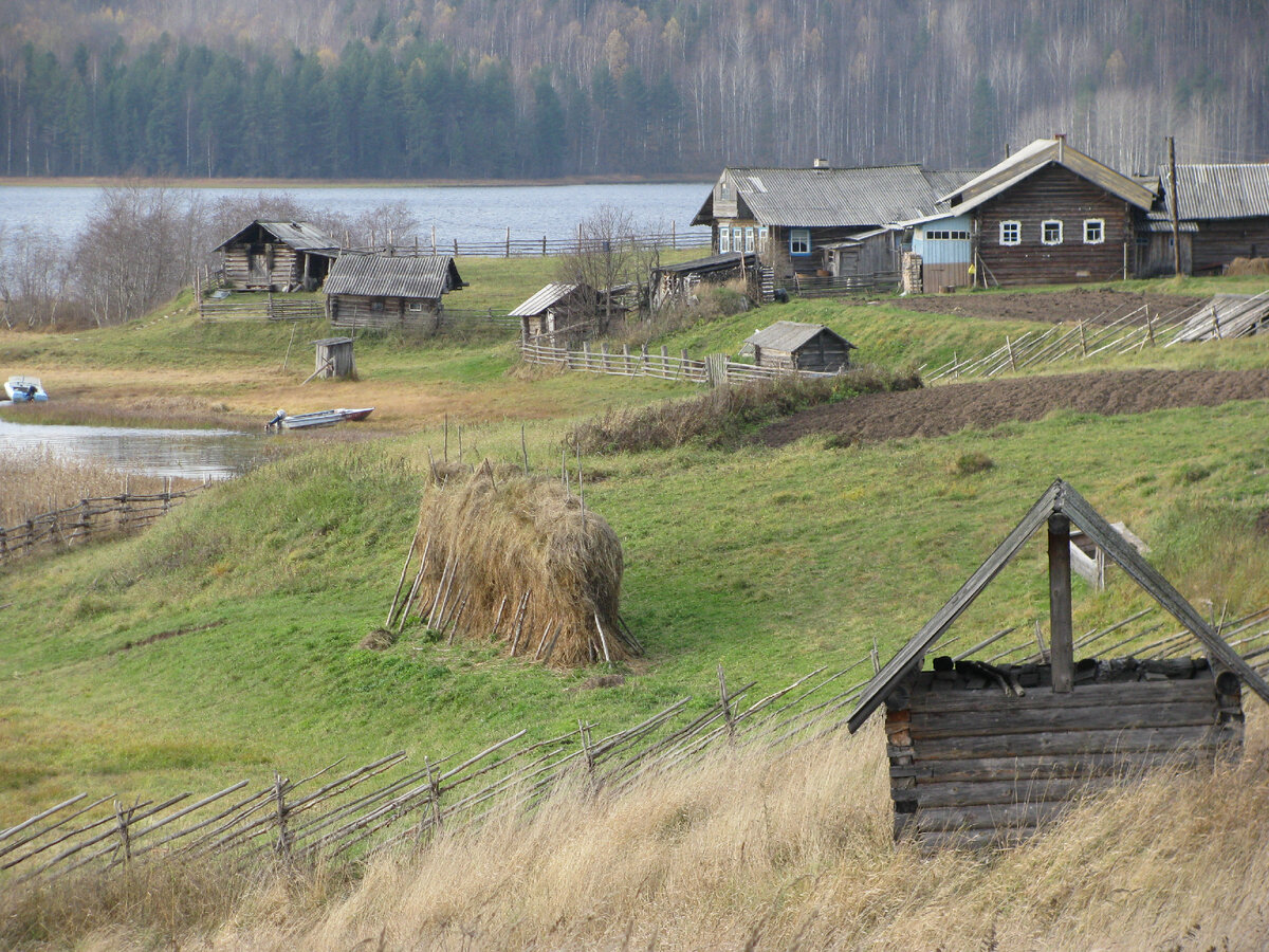 Архангельская область, дер. Зехново