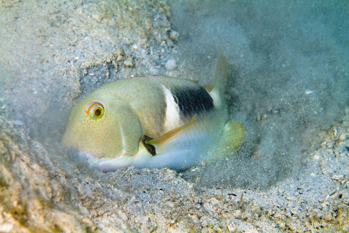 Мой любимый камушек! Я тебя ни на что не променяю! 