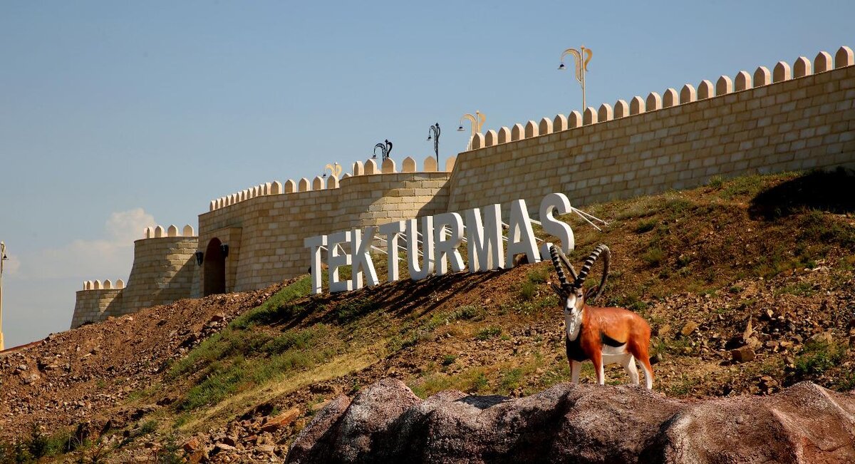 Источник: astanatimes.com