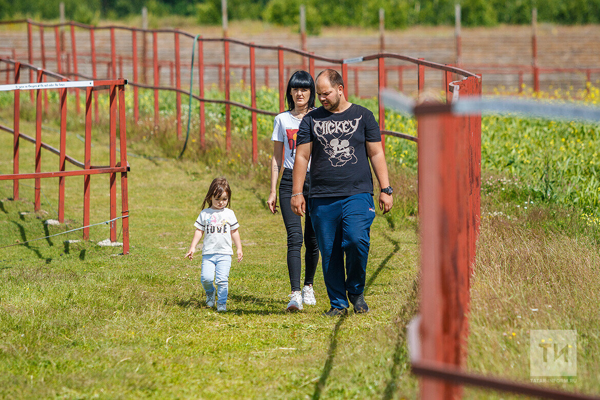 Городские жители едут в деревенскую глушь, подальше от городской суеты и шума. Фото: © Владимир Васильев / «Татар-информ»