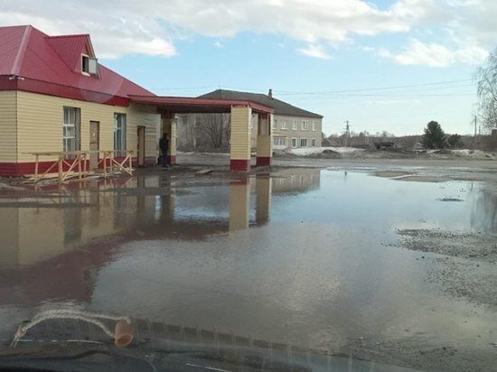     Фото: t.me/mash_siberia.