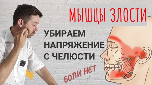 Жевательные мышцы. Частые виновники боли в челюстном суставе, головных болях и напряжении шеи. Убираем челюстной зажим своими руками.