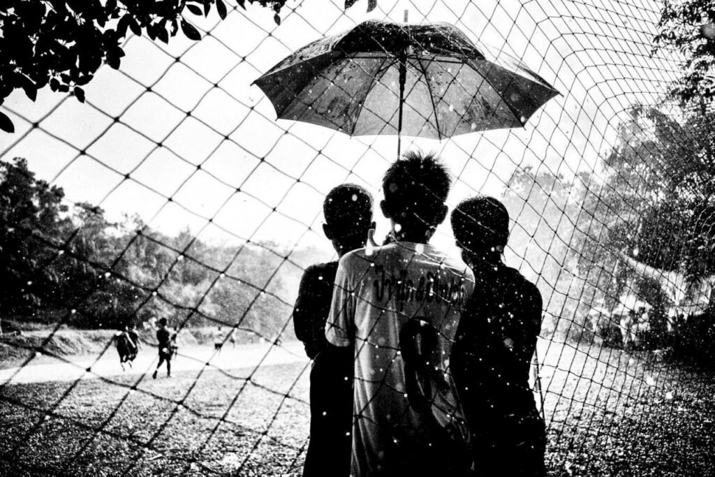    Фото: Alan Schaller