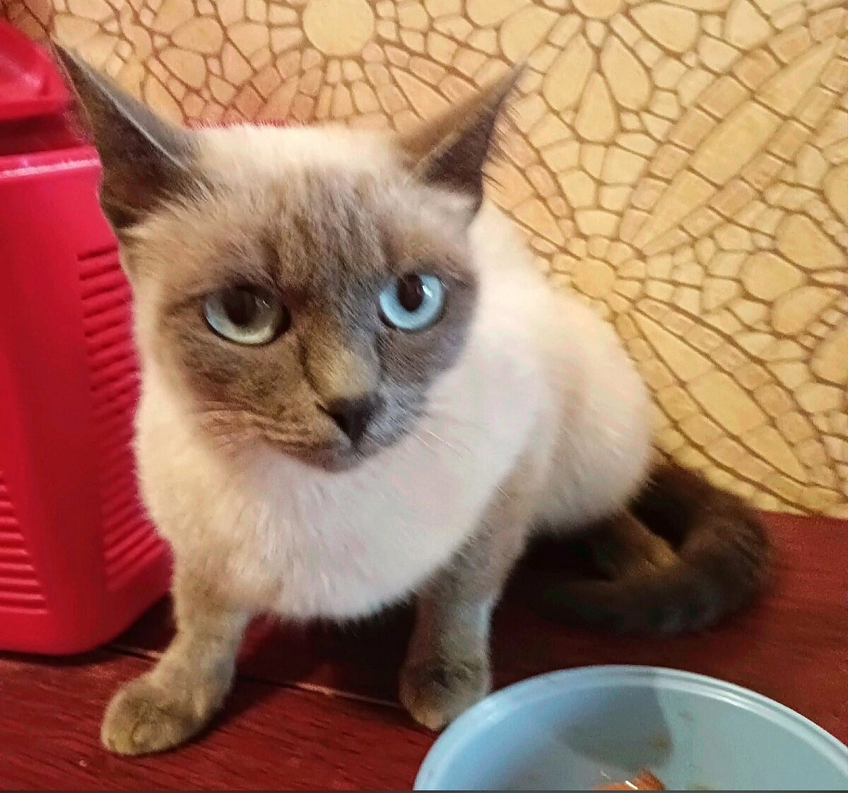 Очередная жертва бездушных хозяев