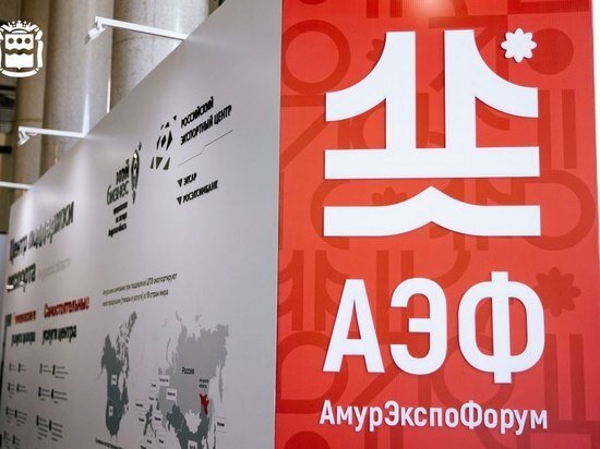     Международный экономический форум состоится в Приамурье в конце мая. ФОТО: правительство Приамурья