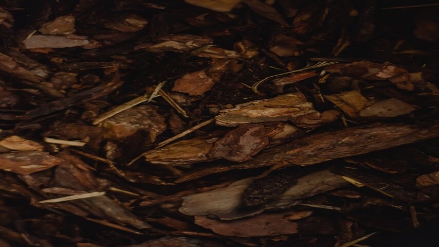 Мульча из коры