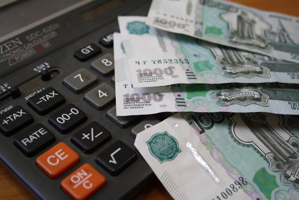 Фото с сайта https://fssp.gov.ru/ 