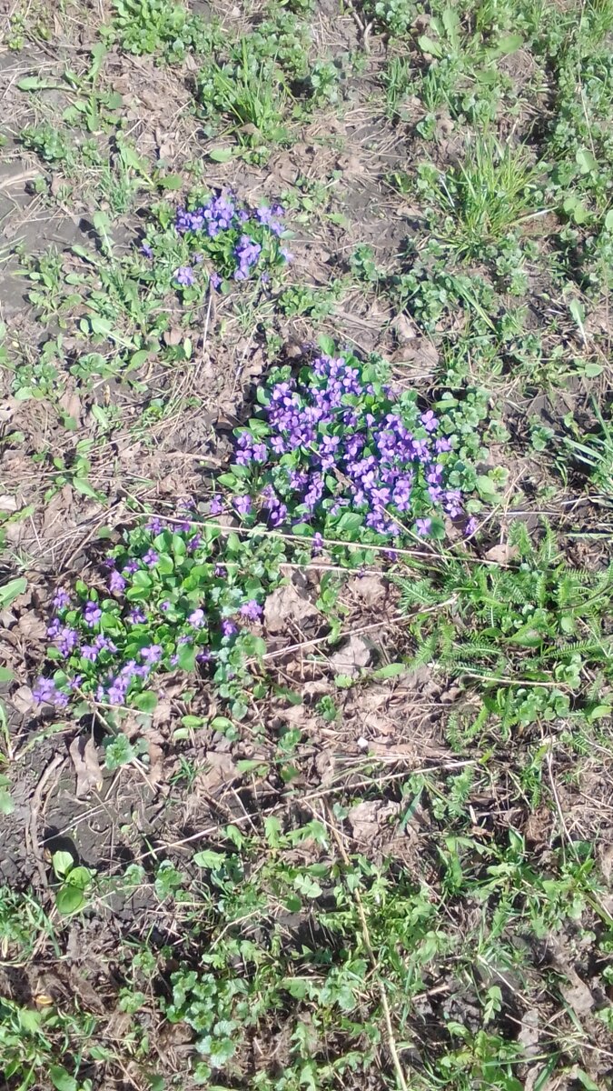 Фото сила - в знаниях