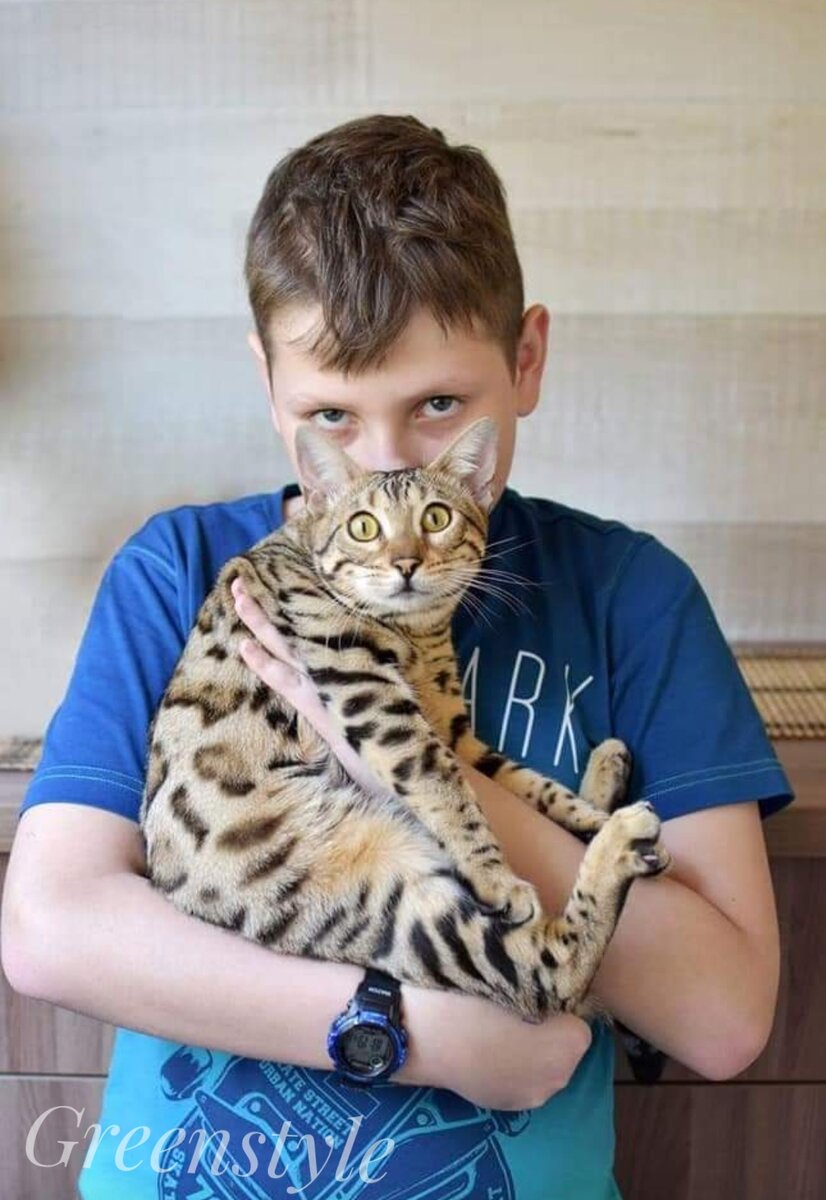 Дима и Катя