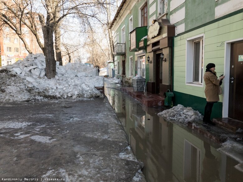    Фото: Дмитрий Кандинский / vtomske.ru