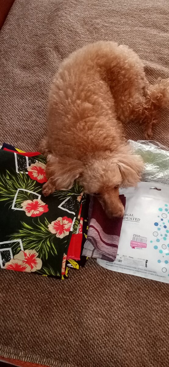 Чили против сборов. Страдает