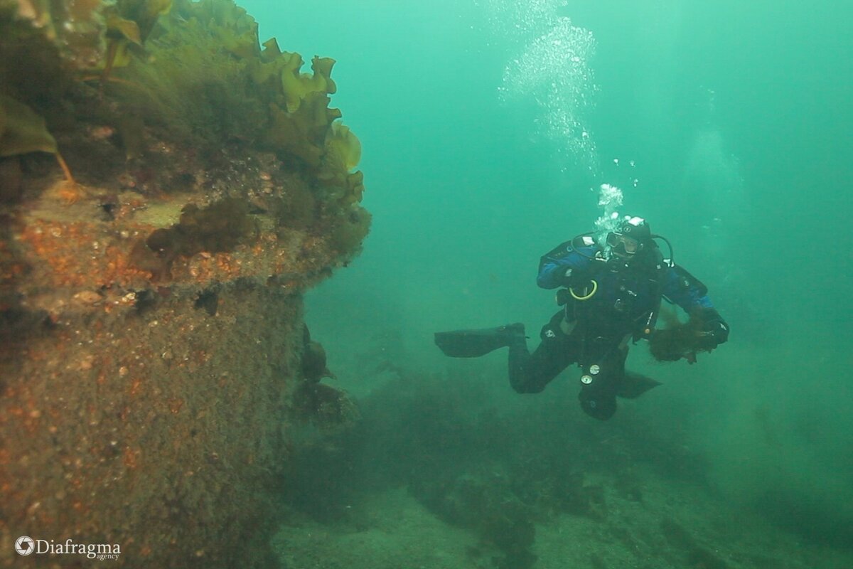 Фрагмент затонувшего корабля на дне Баренцева моря обнаруженный дайверами ДИВО