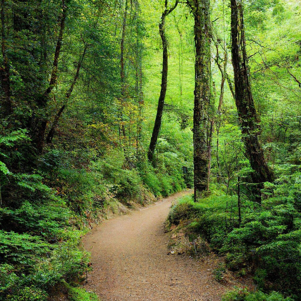 Изображение сгенерировано Шедеврумом по запросу автора.