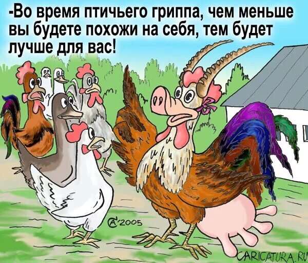 Из открытого доступа