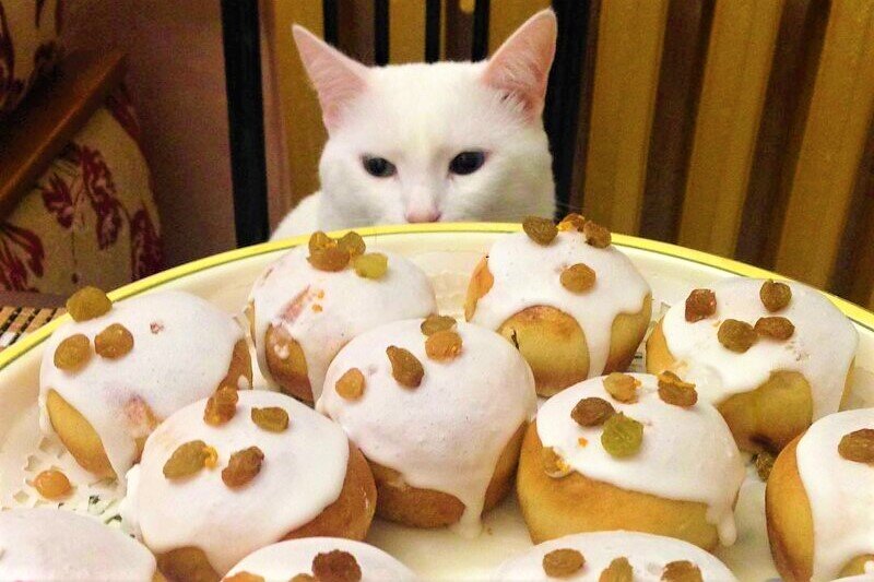 ��� ����. �������� ����: ����������