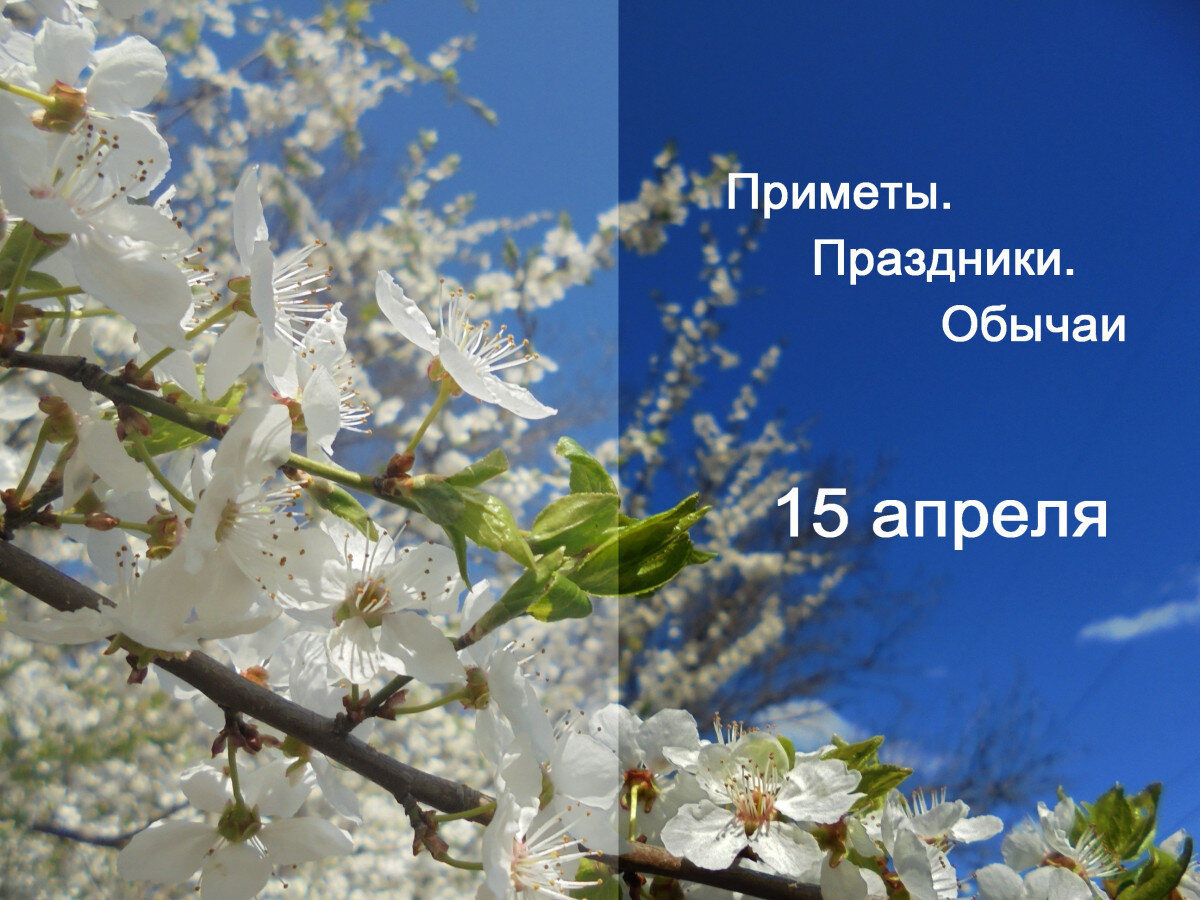 Приметы на 15 мая. Субботний праздник перед Пасхой. Великая суббота – последний день перед Пасхой.. Великая Пасхальная суббота. С последней субботой перед Пасхой.