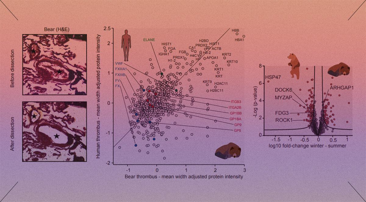   Tobias Petzold et al. / Science, 2023