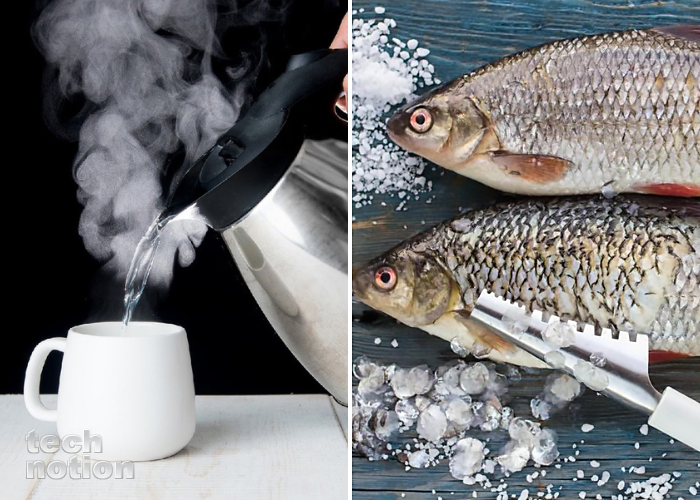 Обдаём рыбу кипятком, чтобы та быстрее очистилась / Изображение: дзен-канал technotion