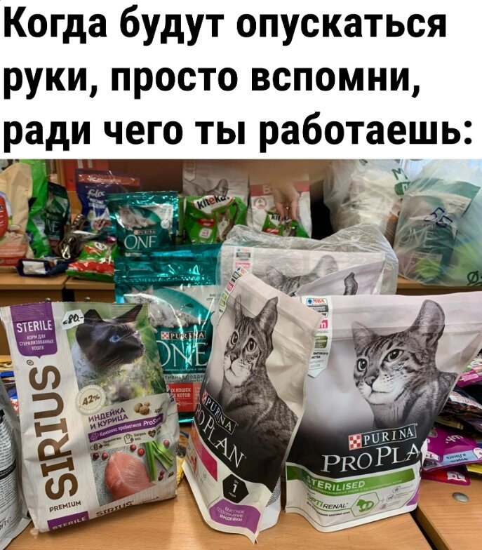 Взято из бесплатного источника 