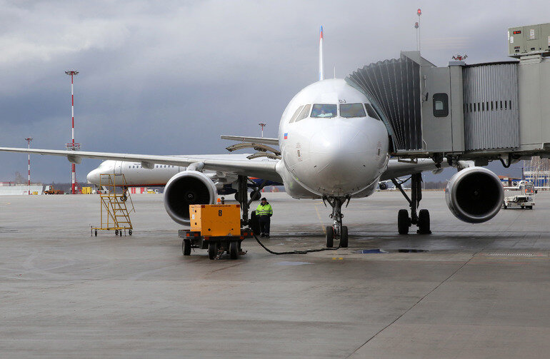    Фото: Baltphoto/Андрей Пронин