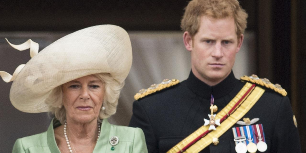 Принц Гарри выставил Камиллу абсолютной злодейкой. Фото: Getty Images