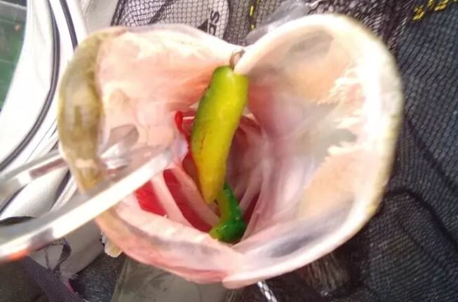 осенний трофей