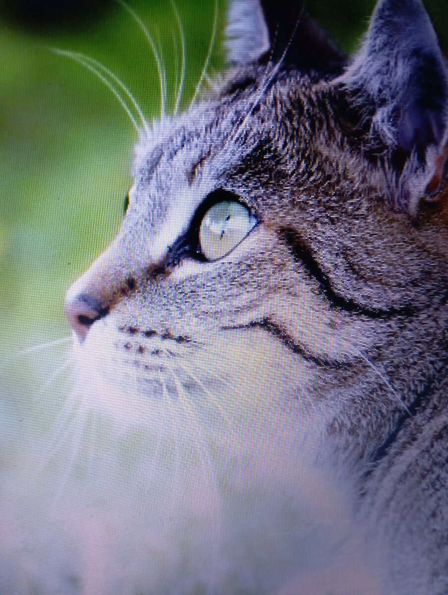 Фото сила - в знаниях