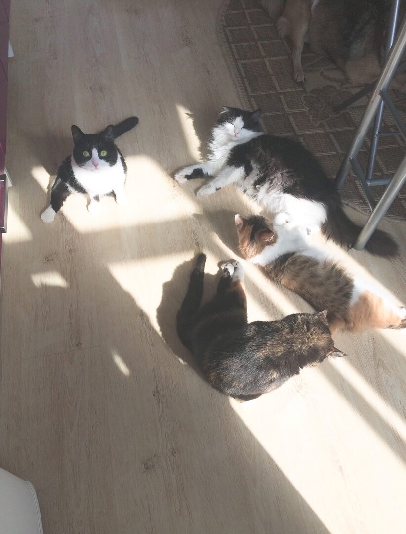 Лежбище котиков)))