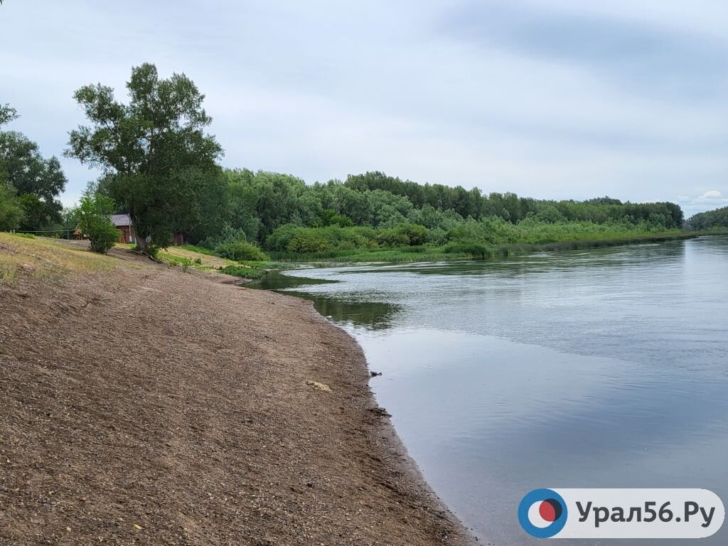    В Оренбурге руководство турбазы обязали демонтировать бетонное ограждение в лесу