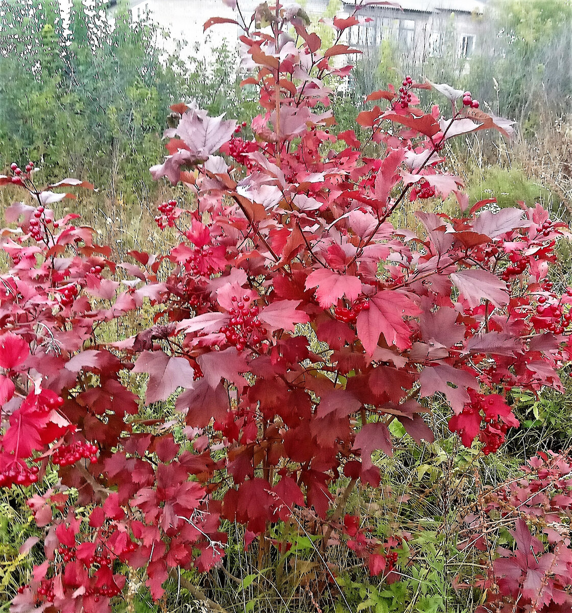 П, чтобы была. Красиво же. Фото автора канала.