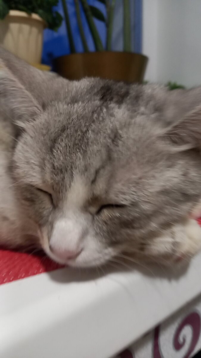 Фото автора.