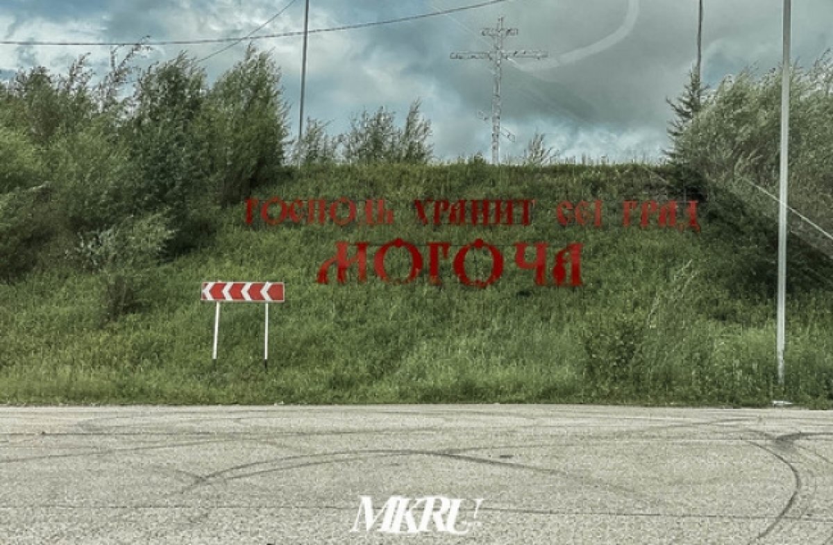    Неизвестные жестоко расправились с двумя кошками в Забайкалье