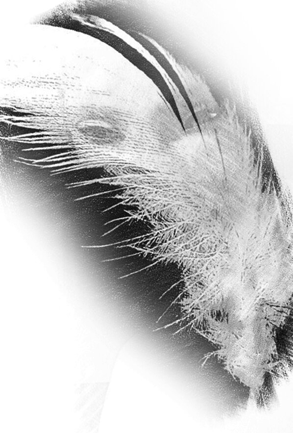                                                                                                                              (материал автора)