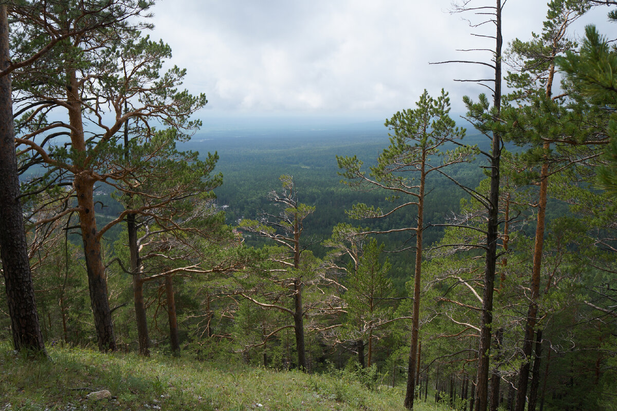 Пик 12. Пик 12. Пик 12. Пик 12. Инфракрасный прожектор пик-21.