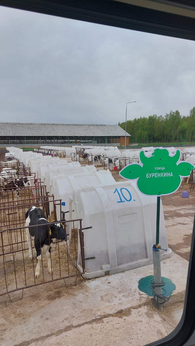 улица Буренкина