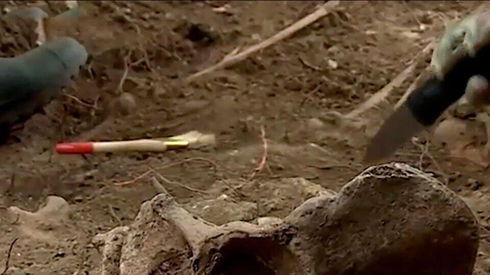 Фото: © Скриншот видео