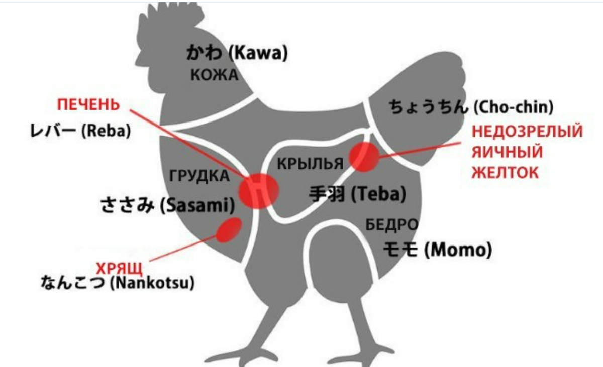 Части курицы схема. Курица по частям названия. Название всех частей курицы. Части курицы по английски. Части курицы состав.